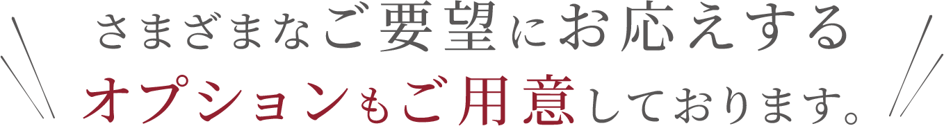 さまざまなご要望にお応えするオプションもご用意しております。